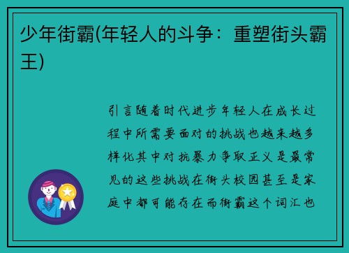 少年街霸(年轻人的斗争：重塑街头霸王)