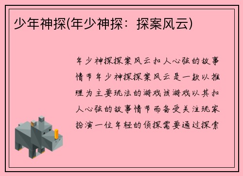 少年神探(年少神探：探案风云)